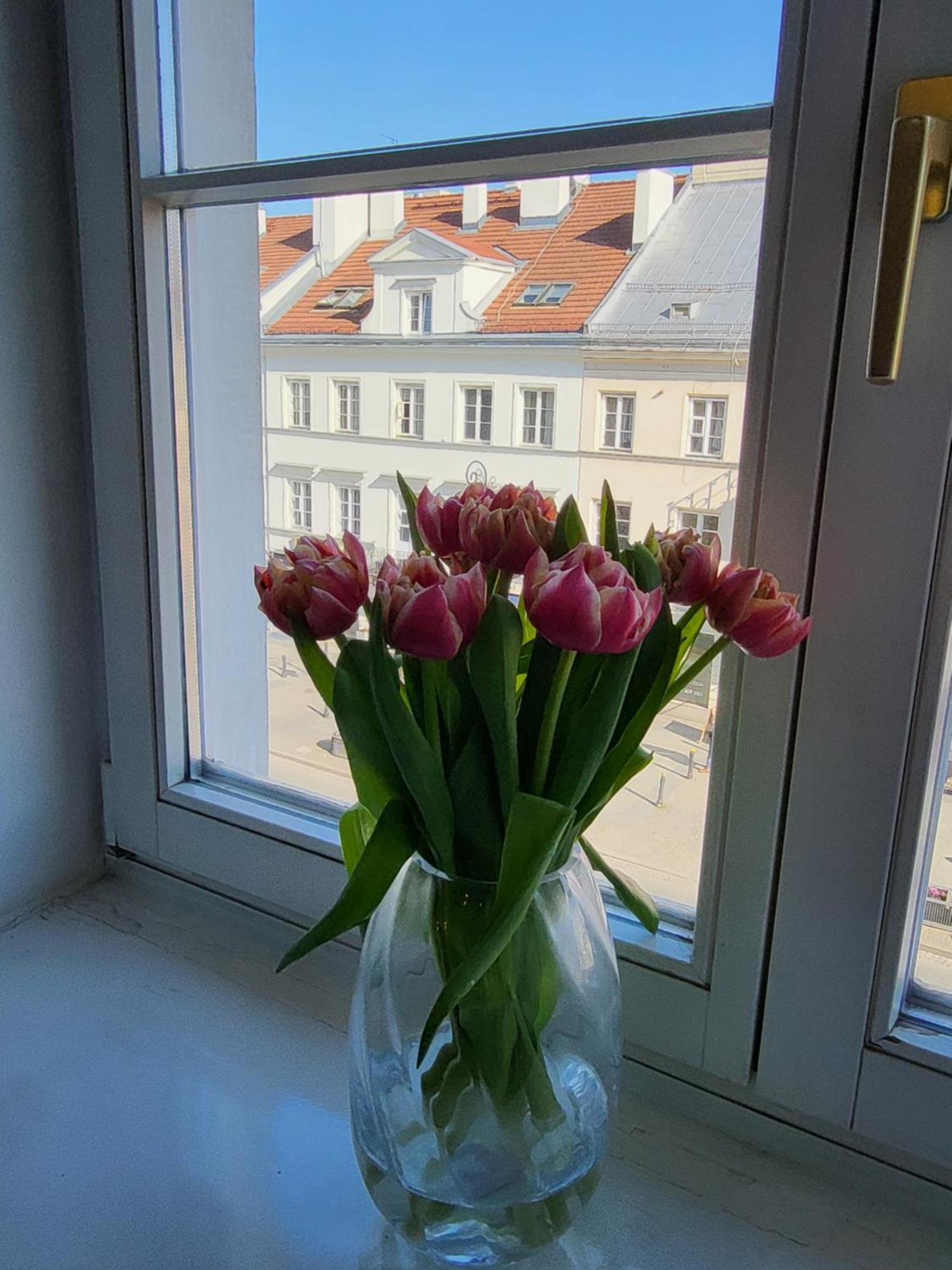 Novo Mundo-bon Turystyczny! Apartament